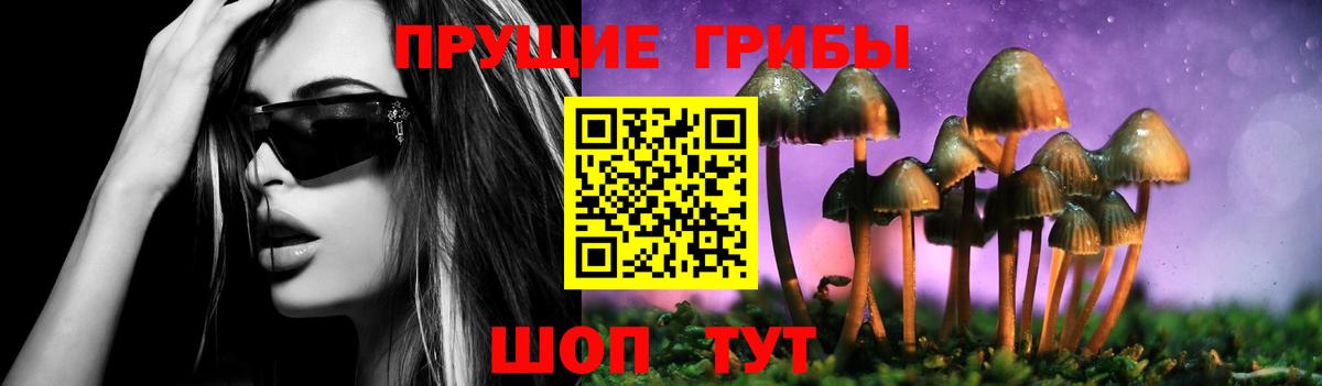 Псилоцибиновые грибы мухоморы  Псилоцибиновые грибы GOLDEN TEACHER  Саратов  Вход с VPN 