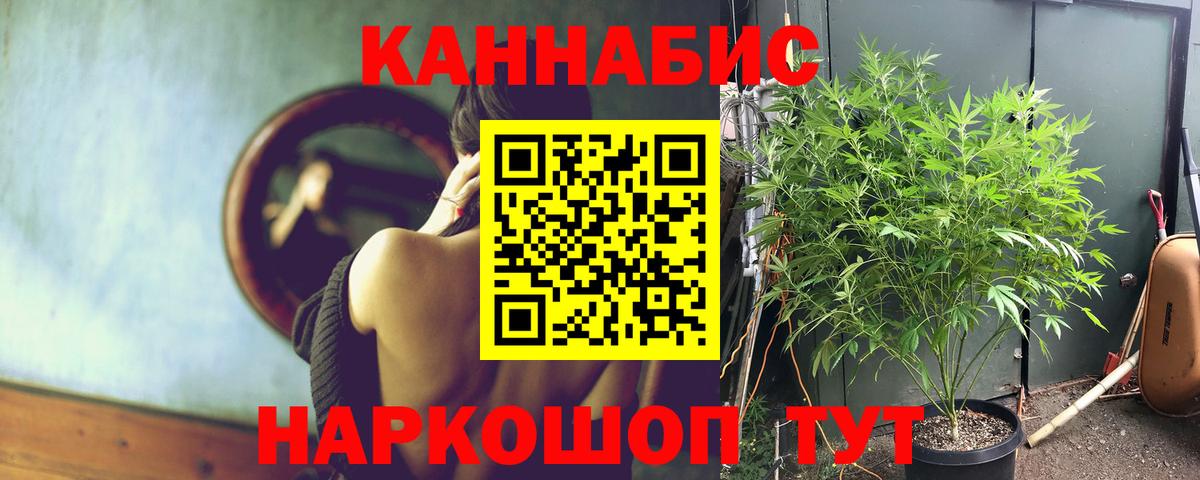 Саратов  Бошки Шишки тримм  Канабис MAZAR  Вход с VPN  Конопля тримм 